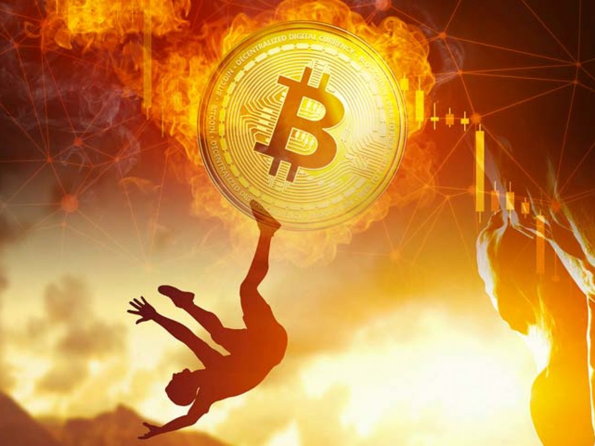 gia bitcoin