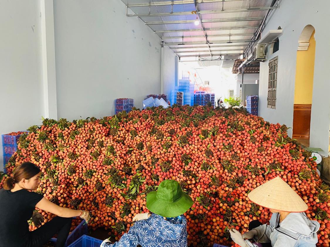 tiêu