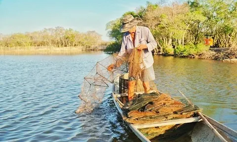 Huế xây dựng thương hiệu cho đặc sản ‘Cá Dìa Tam Giang’