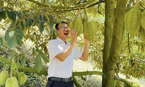 Trải nghiệm sống xanh cùng trang trại sầu riêng cao cấp tại Tây Nguyên