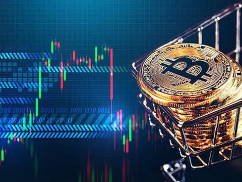 Giá Bitcoin hôm nay (19/11): Bitcoin rơi tự do