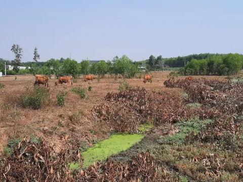 Thời Đại Land bị khách hàng tố lừa đảo