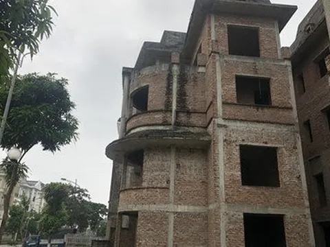 Phương thuốc đặc trị cho hiệu ứng "sốt đất", "sốt nhà"