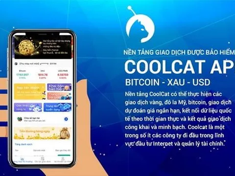 Người chơi điêu đứng khi sàn 'ảo' Coolcat sập thật
