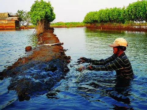 Những thủ tục chuyển nhượng quyền sử dụng đất nuôi trồng thủy sản
