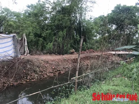 Trung Giã – Sóc Sơn: UBND xã xử lí vi phạm kiểu 'đem con bỏ chợ'?