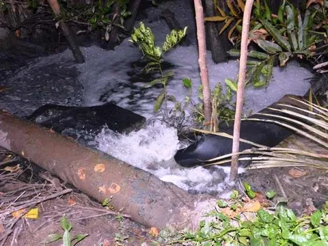 5 doanh nghiệp khu vực miền Nam bị phạt nặng vì vi phạm môi trường