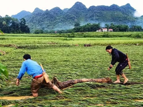 Mưa lớn, lũ đổ về càn quét huyện miền núi Nghệ An
