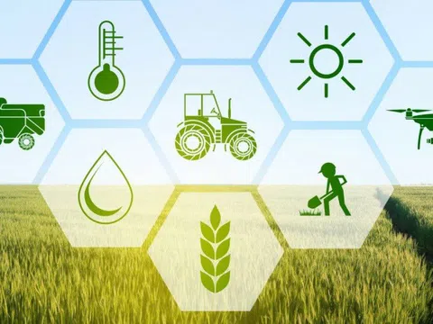 Cách mạng hóa ngành nông nghiệp bằng công nghệ kỹ thuật số