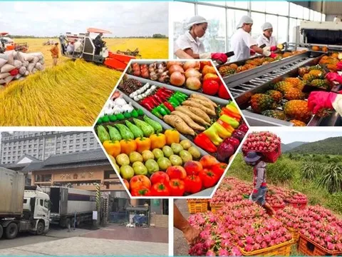 Xây dựng nhãn hiệu giúp nâng cao giá trị nông sản bền vững