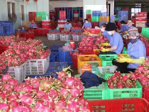 Ngành rau quả năm 2024 có thể bứt phá hơn ở thị trường Trung Quốc
