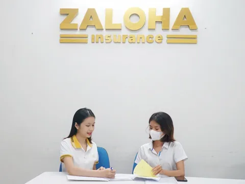 Thương hiệu Zaloha dẫn đầu xu thế lựa chọn siêu thị bảo hiểm