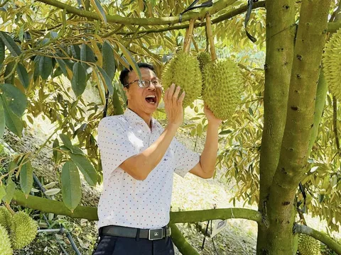 Trải nghiệm sống xanh cùng trang trại sầu riêng cao cấp tại Tây Nguyên